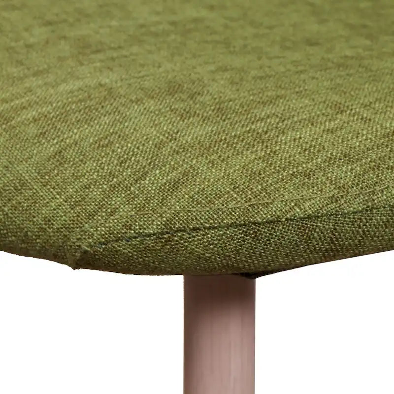 Chaises de salle à manger de style mi-siècle (lot de 2)